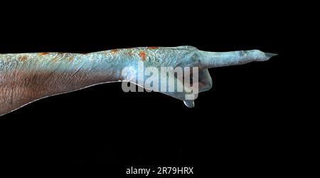 Humanoide Alien-Hand isoliert auf schwarzem Hintergrund, Abbildung 3D Stockfoto