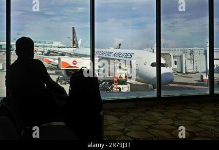 Ein Passagier, der als Silhouette betrachtet wird, sitzt in einer Abflughalle am Flughafen Changi, Singapur, und blickt auf einen Boeing Dreamliner von Singapore Airlines Stockfoto