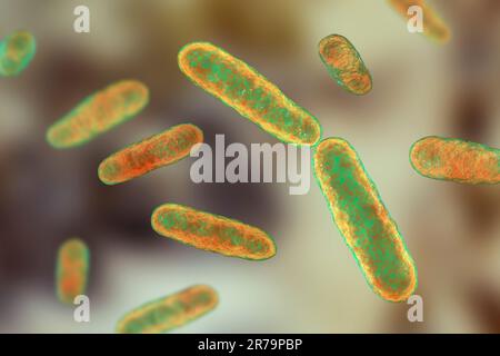 Bakterien Eikenella korrodens, 3D-Darstellung. Eikenella ist eine normale Biota der Mundhöhle und des Darmes, verursacht Infektionen nach menschlichen Bissen, und Stockfoto