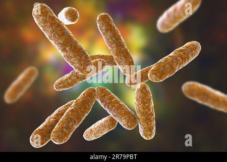 Bakterien Eikenella korrodens, 3D-Darstellung. Eikenella ist eine normale Biota der Mundhöhle und des Darmes, verursacht Infektionen nach menschlichen Bissen, und Stockfoto