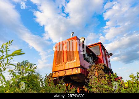 Der rote Traktor des alten Modells steht auf dem Feld. Roter alter Traktor. Traktor aus einem niedrigeren Winkel fotografiert. Der alte sowjetische Traktor steht auf dem Feld Stockfoto