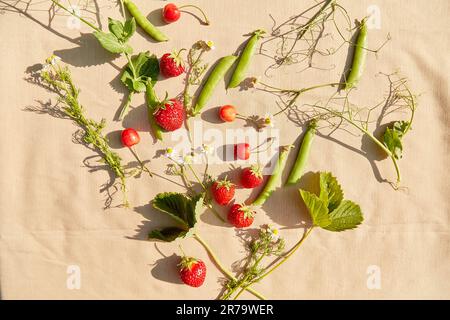 Herzförmige Sommerfrüchte Erdbeeren, Kirsche, Erbsen und Kamillenfrüchte, Draufsicht. Ästhetik Cottagecore, naturecore Lebensstil. Stockfoto