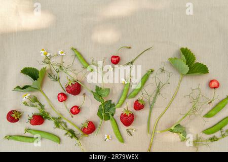 Rustikale Sommerfrüchte, Erdbeeren, Erbsen und Kamillenfrüchte draußen. Cottagecore, naturecore Lifestyle Draufsicht. Stockfoto