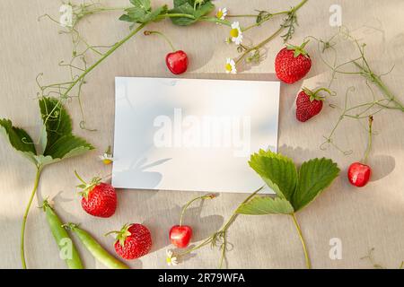 Schreibkartenmodell unter harten Schatten draußen. Sommerfrüchte und Kamillenfrüchte draußen. Cottagecore, naturecore Lifestyle Draufsicht, Kopierbereich. Stockfoto