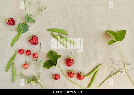 Sommerfrüchte Erdbeeren, Kirsche, Erbsen und Kamillenfrüchte, Draufsicht. Ästhetik Cottagecore, naturecore Lebensstil. Stockfoto