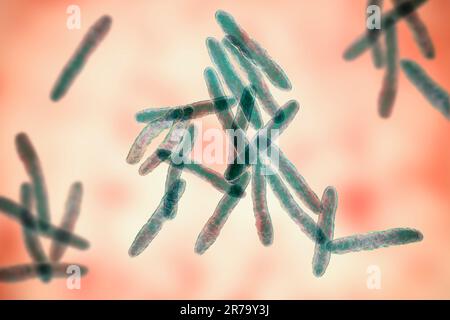 Mycobacterium ulcerans, 3D-Darstellung. Der Erreger des Buruli-Ulkus, einer chronisch schwächenden Erkrankung der Haut und des Unterhautgewebes f Stockfoto