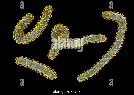 Hautausschlag auf der Brust eines Patienten mit Marburger hämorrhagischem Fieber, fotorealistische 3D-Darstellung Stockfoto
