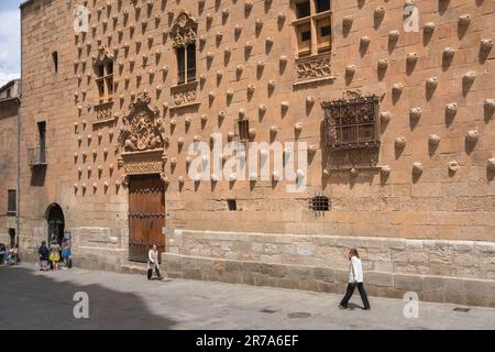 Salamanca Casa de las Conchas, Blick auf die mit Muscheln verzierte Außenwand des Hauses der Muscheln aus der Renaissance, historische Stadt Salamanca, Spanien Stockfoto