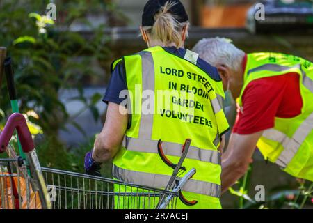 Ehrenamtliche Gärtner in Southport, Merseyside. UK Weather 14. Juni 2023. Großbritannien in Blüte. Lords Street Garden Freiwillige besuchen überwucherte Stadtgärten in Southport. Die Gartenpflege wird in der Regel von qualifizierten mitarbeitern des gemeinderats durchgeführt. Stockfoto