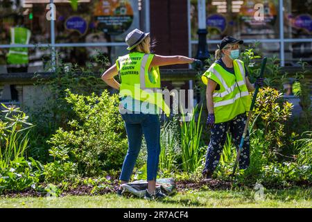 Ehrenamtliche Gärtner in Southport, Merseyside. UK Weather 14. Juni 2023. Großbritannien in Blüte. Lords Street Garden Freiwillige besuchen überwucherte Stadtgärten in Southport. Die Gartenpflege wird in der Regel von qualifizierten mitarbeitern des gemeinderats durchgeführt. Stockfoto