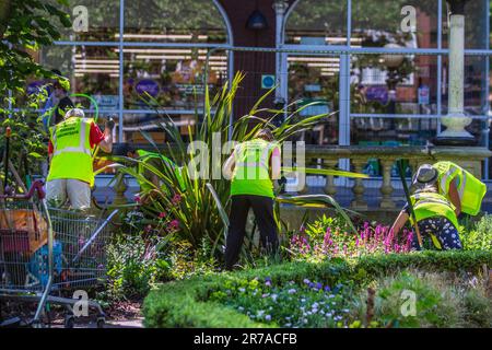 Ehrenamtliche Gärtner in Southport, Merseyside. UK Weather 14. Juni 2023. Großbritannien in Blüte. Lords Street Garden Freiwillige besuchen überwucherte Stadtgärten in Southport. Die Gartenpflege wird in der Regel von qualifizierten mitarbeitern des gemeinderats durchgeführt. Stockfoto