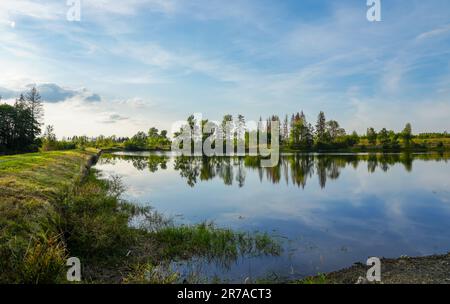 Natur am oberen Nassenwieser Teich im Harz-Gebirge. Blick auf den Teich und die umliegende Landschaft. Stockfoto