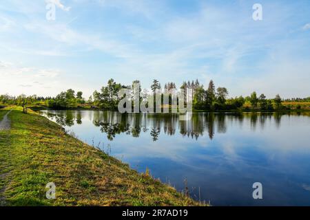 Natur am oberen Nassenwieser Teich im Harz-Gebirge. Blick auf den Teich und die umliegende Landschaft. Stockfoto