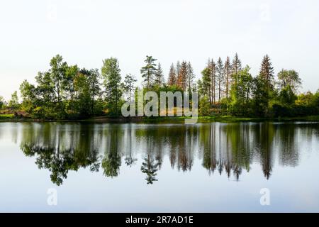 Natur am oberen Nassenwieser Teich im Harz-Gebirge. Blick auf den Teich und die umliegende Landschaft. Stockfoto