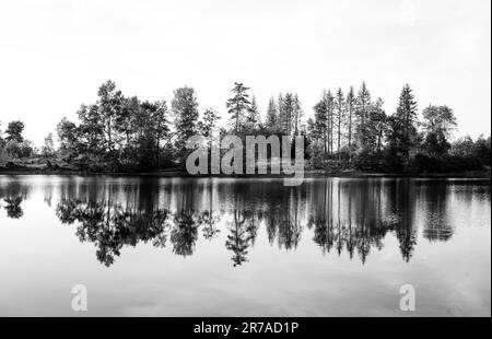 Natur am oberen Nassenwieser Teich im Harz-Gebirge. Blick auf den Teich und die umliegende Landschaft. Stockfoto