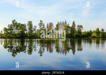 Natur am oberen Nassenwieser Teich im Harz-Gebirge. Blick auf den Teich und die umliegende Landschaft. Stockfoto