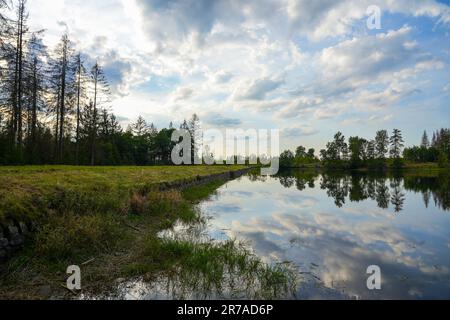 Natur am oberen Nassenwieser Teich im Harz-Gebirge. Blick auf den Teich und die umliegende Landschaft. Stockfoto