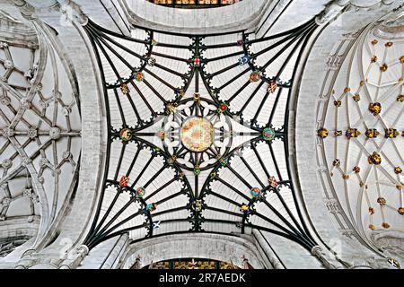 Gotic Vaulting, Winchester Cathedral, England, Großbritannien Stockfoto