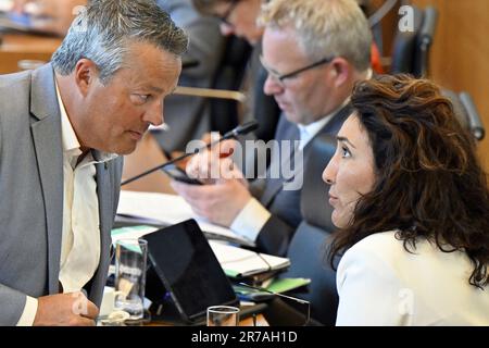 Namur, Belgien. 14. Juni 2023. Laurent Devin von PS und der stellvertretende Ministerpräsident von Wallonien, Christie Morreale, wurden auf einer Plenartagung des wallonischen Parlaments am Mittwoch, den 14. Juni 2023 in Namur vorgestellt. BELGA FOTO ERIC LALMAND Kredit: Belga News Agency/Alamy Live News Stockfoto