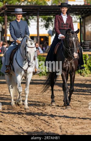 Europa, Portugal, Alentejo Region, Golega, zwei Frauen, die auf Lusitano Pferden reiten und traditionelle Kostüme auf der Golega Horse Fair 2022 tragen Stockfoto