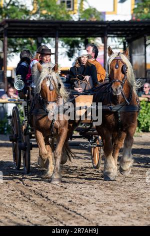 Europa, Portugal, Region Alentejo, Golega Horse Fair, Pferdekutsche, die Touristen am Largo do Marques de Pombal (Platz) vorbeibringt Stockfoto