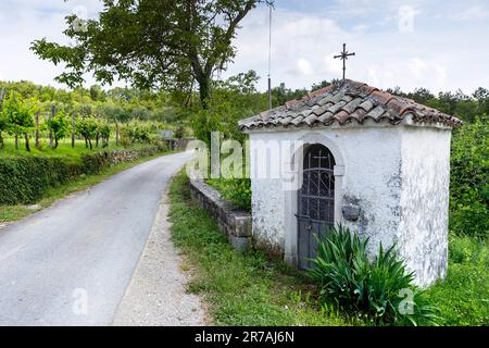 Kleine Kapelle und Weinberge und eine Straße im traditionellen Steindorf Abitanti, abgelegenes Dorf auf der Halbinsel istrien in der Nähe der adria, Slowenien Stockfoto