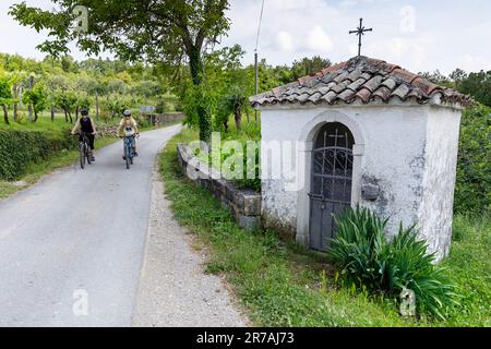 Mutter und Sohn, Touristen Radfahrer auf einer Radtour um die Halbinsel Istrien in Slowenien, Radfahren, vorbei an Weinbergen, kleiner Kapelle, Abitanti, Slowenien Stockfoto