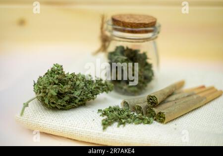 Pre-Roll Marihuana-Joint mit Cannabis-Knospen in einem durchsichtigen Glasgefäß Stockfoto