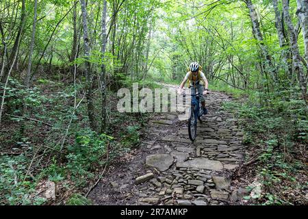 Tourist, ein Radfahrer auf dem Mountainbike, auf einem alten Weg in üppigen Wäldern in der Nähe von Buzet auf der Halbinsel Istrien, Kroatien Stockfoto