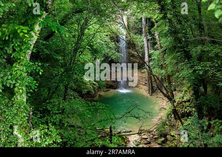 Wunderschöner und malerischer Butori-Wasserfall, umgeben von üppiger Vegetation mit kleinem türkisfarbenen See am Grund des Abgrunds, Motovun, Kroatien Stockfoto