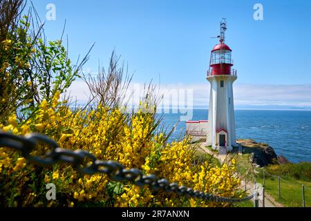 Sheringham Point Lighthouse Vancouver Island Seascape. Sheringham Point Leuchtturm auf Vancouver Island mit Blick auf die Straße von Juan de Fuca. Stockfoto