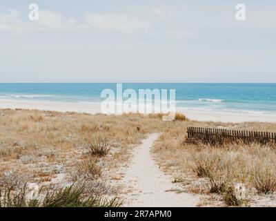 Ein schmaler Fußweg zum Meer inmitten von Sanddünen, die mit Gras überwuchert sind. Reisen, Sommerferienkonzept. Sommerreisen Stockfoto