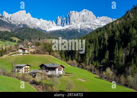 Malerischer Blick über das Tierser-Tal mit Rosengarten (Catinaccio) im Hintergrund, Dolomiten, Tiers-Reifen, Trentino-Alto Adige/Sud Tirol, Italien Stockfoto