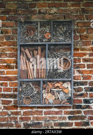 Ein künstlich angelegtes Insektenhotel oder Unterschlupf, das an eine rustikale rote Backsteinmauer angeschlossen ist Stockfoto