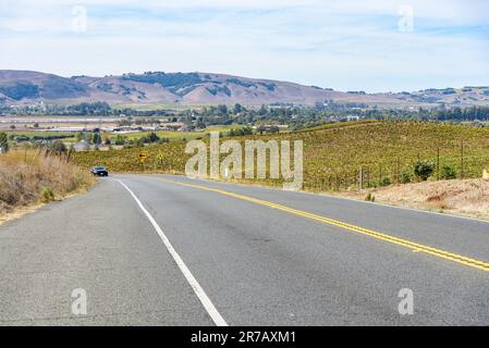 Die Straße führt an einem bewölkten Herbsttag durch Weinberge Stockfoto