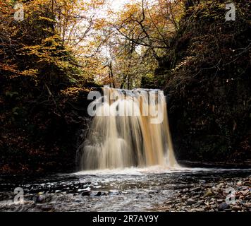 Eine atemberaubende Landschaftsaufnahme mit einem üppigen Wald voller hoher Bäume und großer Felsen, mit einem atemberaubenden Wasserfall, der hinunter fällt Stockfoto