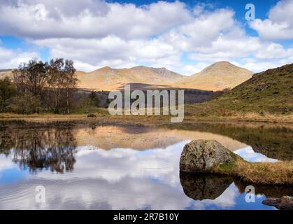 Die Coniston Fells spiegeln sich im stillen Wasser von Kelly Hall Tarn, Lake District Stockfoto