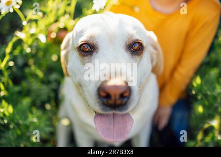 Süßes kleines Mädchen, das ihren Hund umarmt - Golden labrador Retriever. Das süße Baby lächelt und schaut in die Kamera. Hübsches Kind und ihr Haustier draußen in einem Park Stockfoto