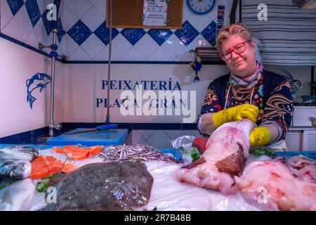 Barcelona, Maresme Coast, Mataró City, Mercat El Rengle Market (Plaza Gran, s/n) ist ein Gebäude für Stände, das vom Architekten Emili Cabanyes, comple, entworfen wurde Stockfoto