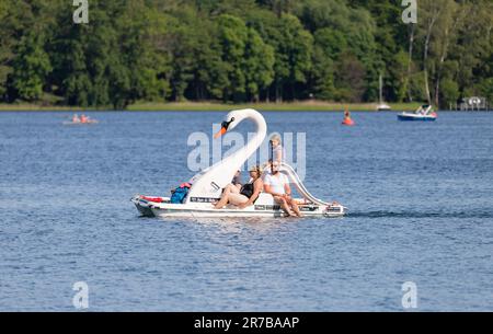 Bad Saarow, Deutschland - 4. Juni 2023, Fahrt mit der Familie im Schwanenboot auf dem See bei bestem Wetter. Stockfoto