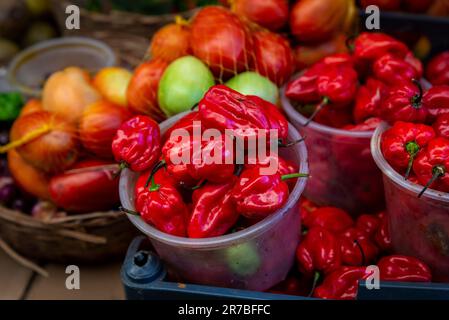 Eine Makro-Nahaufnahme von lebendigen roten Paprika Stockfoto