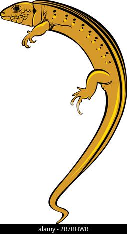 Ein Gecko Eidechse. Abbildung auf weißem Hintergrund für design Stock Vektor