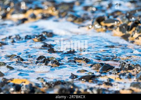 Kleine Kieselsteine, Felsen, Steine, umgeben von schaumigem Meerwasser mit Blasen auf der Oberfläche Konzept abstrakter organischer Naturhintergrund, Hintergrund, Tapete Stockfoto