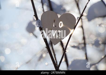 Holzherz mit der Aufschrift Liebe auf Ästen in der Sonne Stockfoto