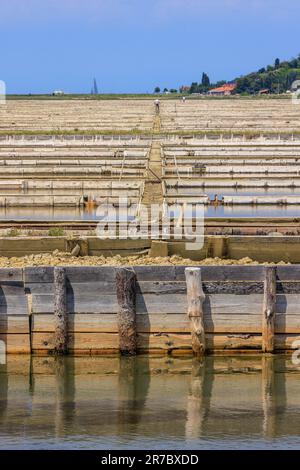 Blick auf die schmalen Wege und Deiche, die die Salinen von piran säumen, während Arbeiter alte Holzwerkzeuge verwenden, um die Pfannen und die petola Basis zu pflegen Stockfoto