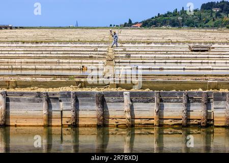 Blick auf die schmalen Wege und Deiche, die die Salinen von piran säumen, während Arbeiter alte Holzwerkzeuge verwenden, um die Pfannen und die petola Basis zu pflegen Stockfoto