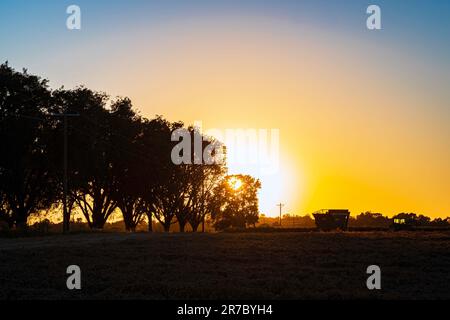 Landwirtschaftlicher Hintergrund eines wunderschönen, lebhaften Sonnenuntergangs auf dem Bauernhof mit Blick auf ein neu gegrabenes Erdnussfeld mit Silhouetten von landwirtschaftlichen Geräten und Bäumen Stockfoto
