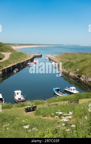 Blick nördlich vom Seaton Sluice Harbour, Northumberland, England, Großbritannien Stockfoto