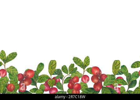 Nahtlose Grenze mit Cowberry Red Beers Vaccinium vitis-idaea, Preiselbeere, Mountain Cranberry. Aquarell Handgemalte Illustration isoliert Stockfoto