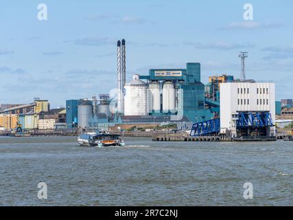 Woolwich, London - 15. Mai 2023: UberBoat by Thames Clipper, das in Richtung Woolwich Ferry Terminal auf der Themse fährt Stockfoto